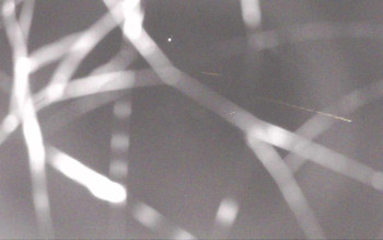 Snímek 6.11.2025 v 04:04