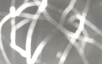 Snímek 6.11.2025 v 18:44