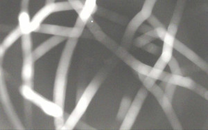 Ski Areál Opálená - Ski Areál Opálená - 6.11.2025 v 19:28 Ski Areál Opálená - Ski Areál Opálená - 6.11.2025 v 19:28