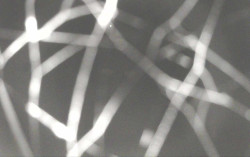 Ski Areál Opálená