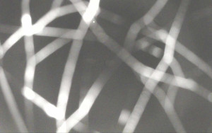 Ski Areál Opálená - Ski Areál Opálená - 6.11.2025 v 20:12 Ski Areál Opálená - Ski Areál Opálená - 6.11.2025 v 20:12