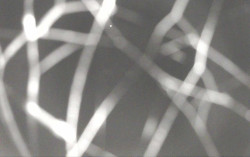 Ski Areál Opálená