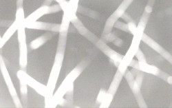 Ski Areál Opálená