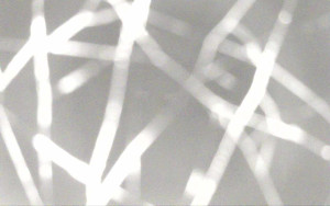 Ski Areál Opálená - Ski Areál Opálená - 6.11.2025 v 21:56 Ski Areál Opálená - Ski Areál Opálená - 6.11.2025 v 21:56