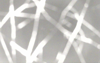 Snímek 6.11.2025 v 21:56