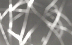 Ski Areál Opálená - Ski Areál Opálená - 6.11.2025 v 22:56 Ski Areál Opálená - Ski Areál Opálená - 6.11.2025 v 22:56