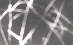 Ski Areál Opálená