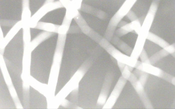 Snímek 7.11.2025 v 00:28