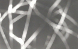 Ski Areál Opálená