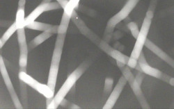 Ski Areál Opálená