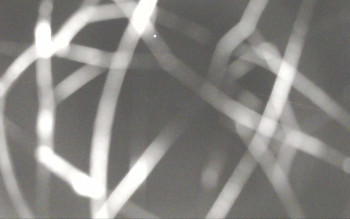 Snímek 7.11.2025 v 04:28