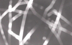 Ski Areál Opálená