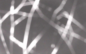 Ski Areál Opálená - Ski Areál Opálená - 7.11.2025 v 05:44 Ski Areál Opálená - Ski Areál Opálená - 7.11.2025 v 05:44