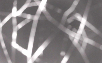 Snímek 7.11.2025 v 05:44