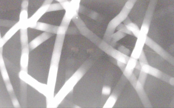 Snímek 7.11.2025 v 05:56