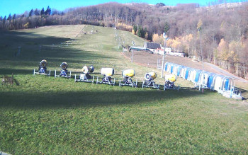 Snímek 7.11.2025 v 07:56