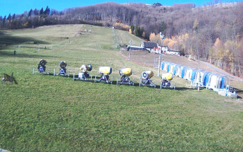 Snímek 7.11.2025 v 08:44