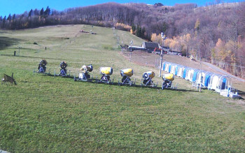 Snímek 7.11.2025 v 09:44