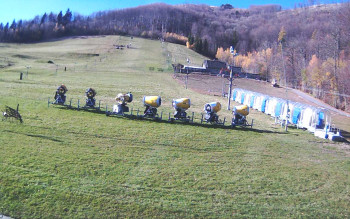 Snímek 7.11.2025 v 11:12