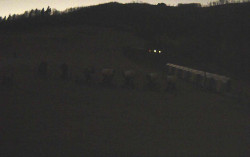 Ski Areál Opálená