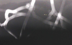 Ski Areál Opálená