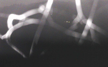 Snímek 7.11.2025 v 17:12