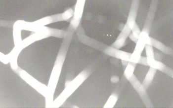 Snímek 7.11.2025 v 17:56