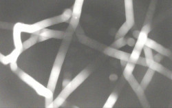 Ski Areál Opálená