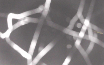 Snímek 7.11.2025 v 20:12