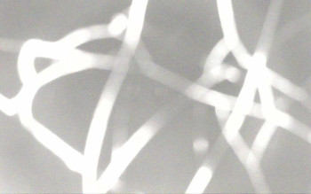 Snímek 7.11.2025 v 21:12