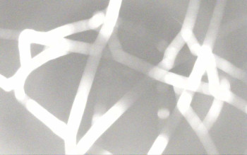 Snímek 7.11.2025 v 22:44