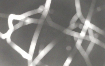 Snímek 7.11.2025 v 23:28