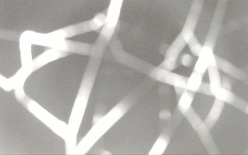 Snímek 7.11.2025 v 23:56