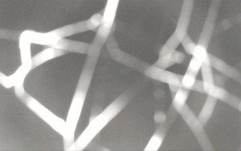 Snímek 8.11.2025 v 01:44