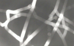 Ski Areál Opálená