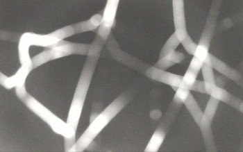 Snímek 8.11.2025 v 04:12