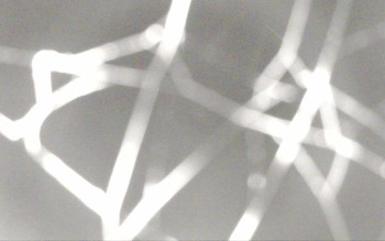 Snímek 8.11.2025 v 04:44