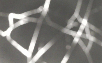 Snímek 8.11.2025 v 04:56