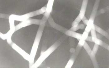 Snímek 8.11.2025 v 05:12