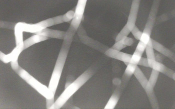 Snímek 8.11.2025 v 05:28