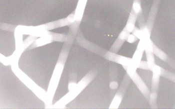 Snímek 8.11.2025 v 17:28