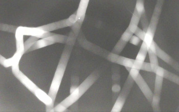 Snímek 8.11.2025 v 18:56