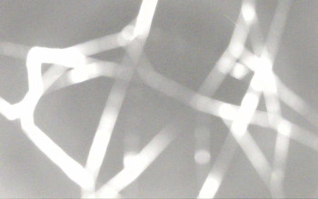 Snímek 8.11.2025 v 19:44