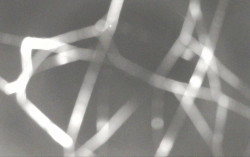 Ski Areál Opálená