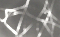 Ski Areál Opálená