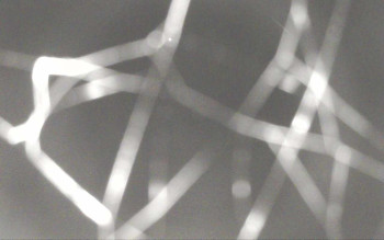 Snímek 8.11.2025 v 21:56