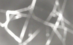 Ski Areál Opálená