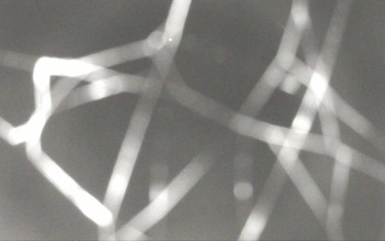 Snímek 9.11.2025 v 00:28