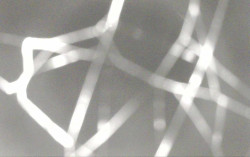 Ski Areál Opálená