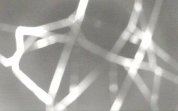 Snímek 9.11.2025 v 01:28